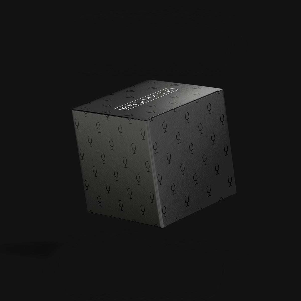 Mystery Item ($24-49 Value) - On-the-Go Accessory